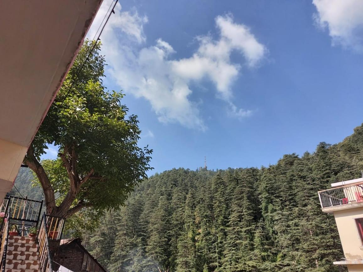 Shimla Pines Homestay Exteriér fotografie