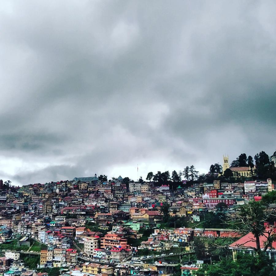 Shimla Pines Homestay Exteriér fotografie