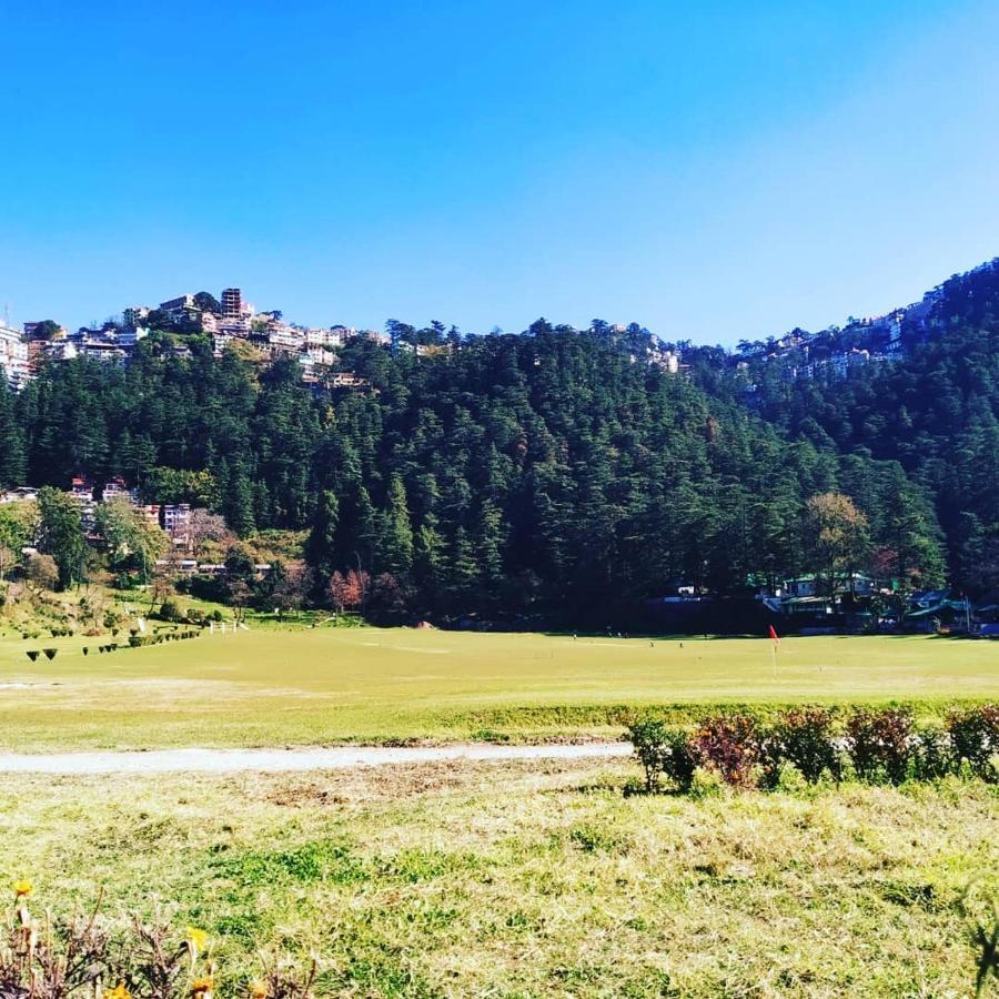 Shimla Pines Homestay Exteriér fotografie